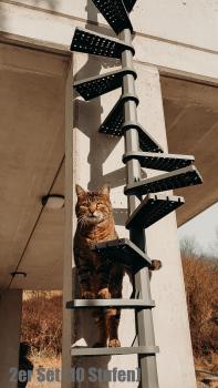 FeliStair Katzentreppe montiert, mit Katze auf den Stufen